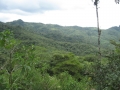 Dense bush covers Panama’s mountainous regions.