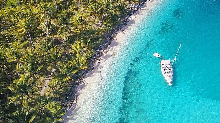 Palm-lined shore in Panama