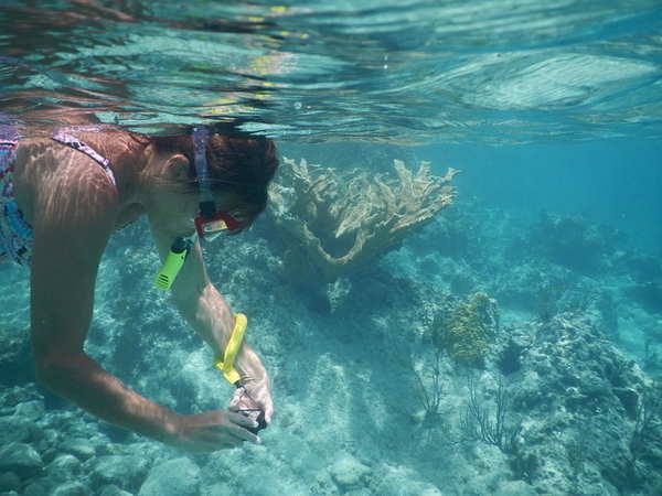 snorkel belize