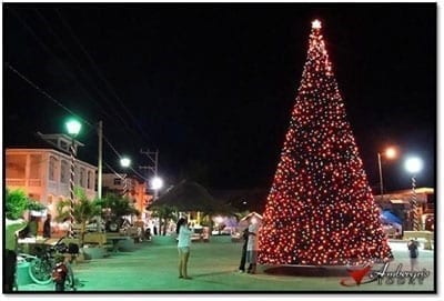 Christmas Tree in San Pedro Town Square