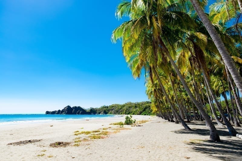 Palms at the beach in Puerto Carrillo, Costa Rica