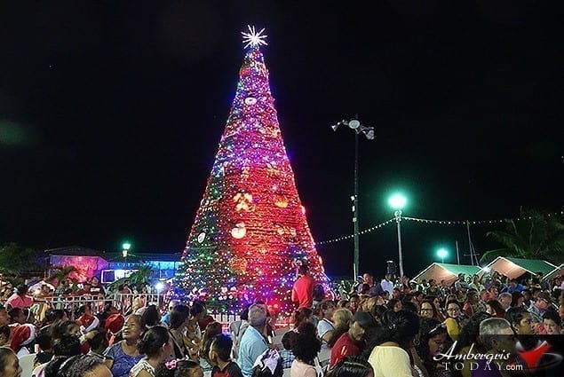  Christmas Tree in Belize