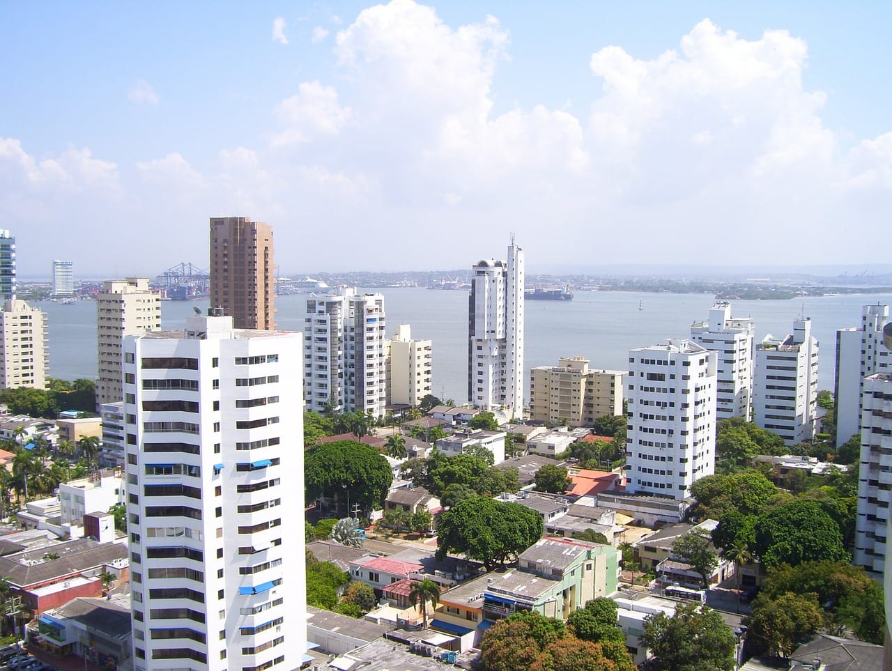 Buying A Property To Live Buying A Property To Live
