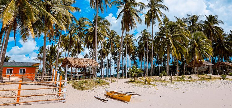 Canoe on a palm tree lined beach in Philippines