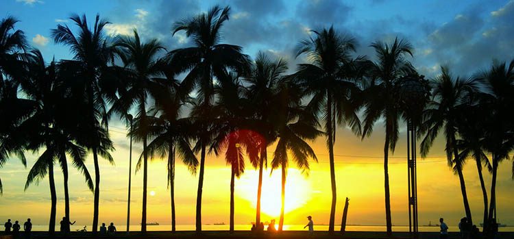 Silhouettes of palm trees in Roxas Boulevard in Manila Philippines