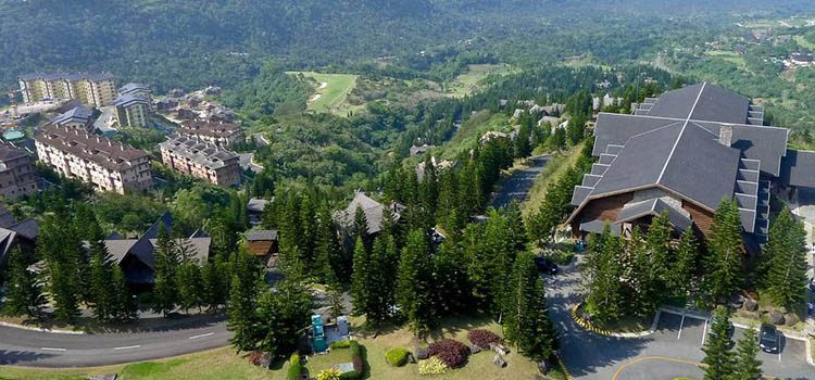 Beaufitul pine tree lines mountains in Tagaytay Village