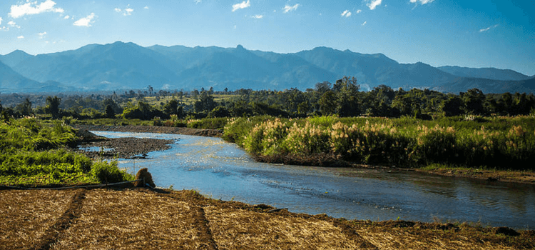 a river cutting through a green landscape