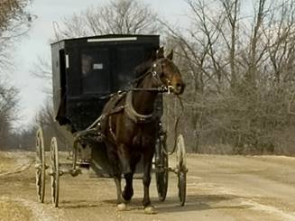 A Mennonite cart