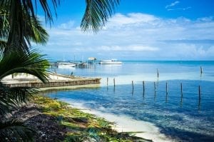 Be3ach in Belize, blue sea, palm trees, and white sand