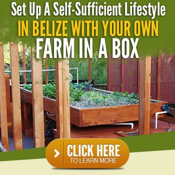 Farm in a box in Belize banner