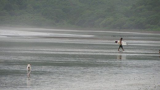A surfer and his dog—enjoying the low tide