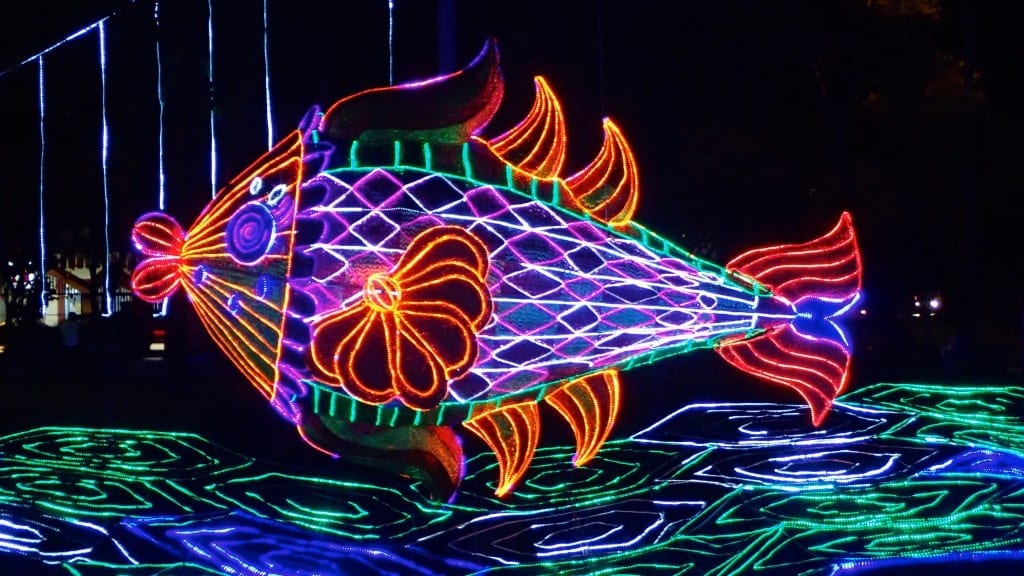 Medellin’s Christmas lights and decorations come in many vibrant colors and designs, including; boats, waves, and fish.