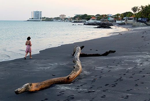 A nice, long walk along the beach
