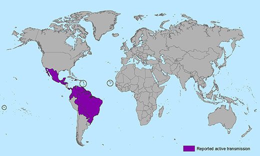 Map of the countries affected by the Zika outbreak