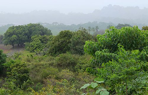 Rainy season at Lost Islotes