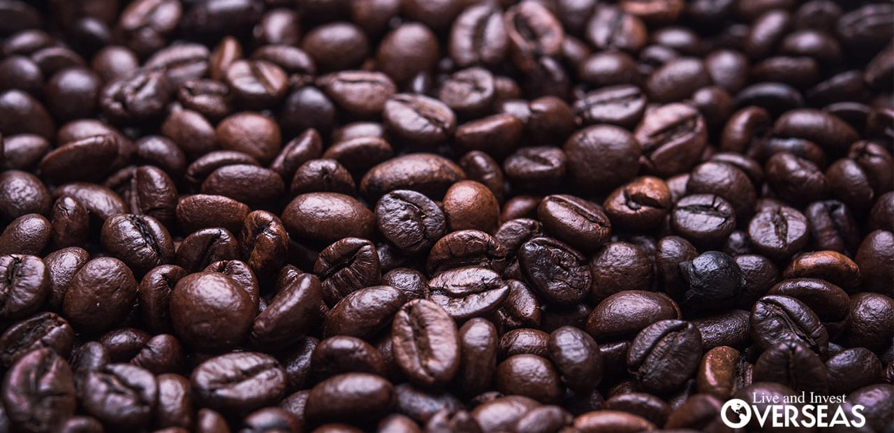 best coffee beans 2016