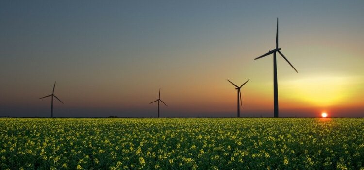 A wind farm in Uruguay with a green field in front and the sunset in the back.