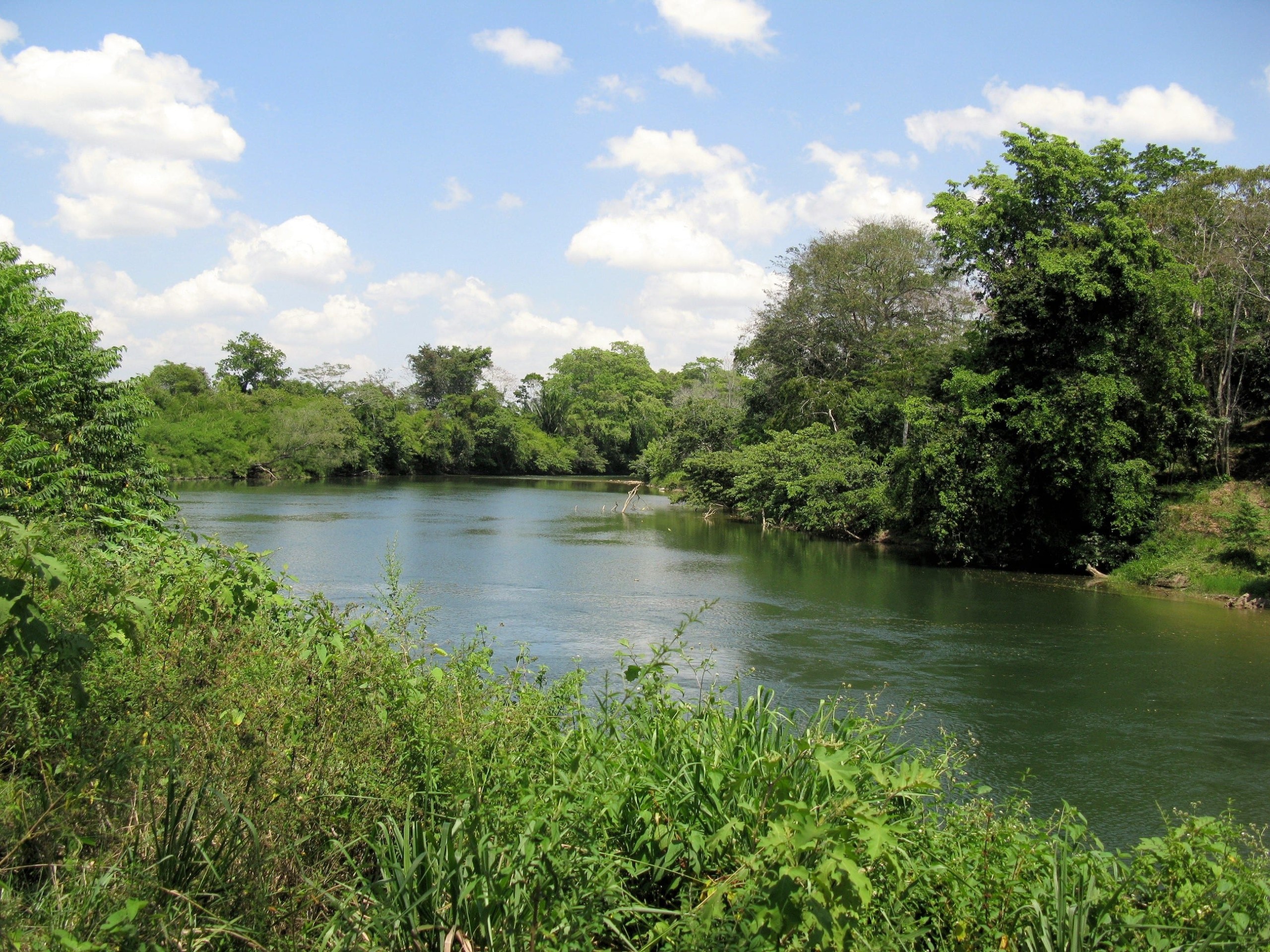 The Belize River