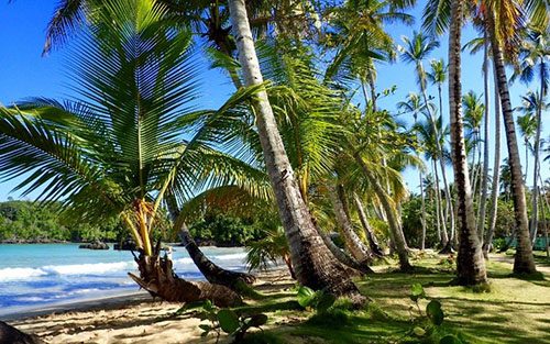 A beach in las terrenas