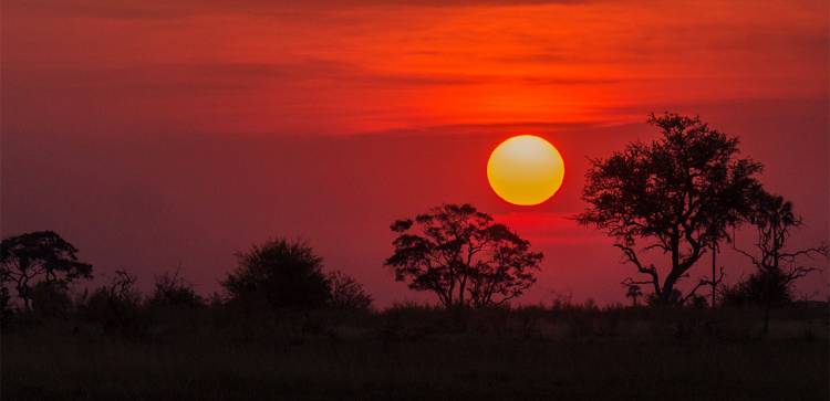 botswana sunset