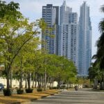 a tree lined street in Panama's upscale costa del este neighborhood