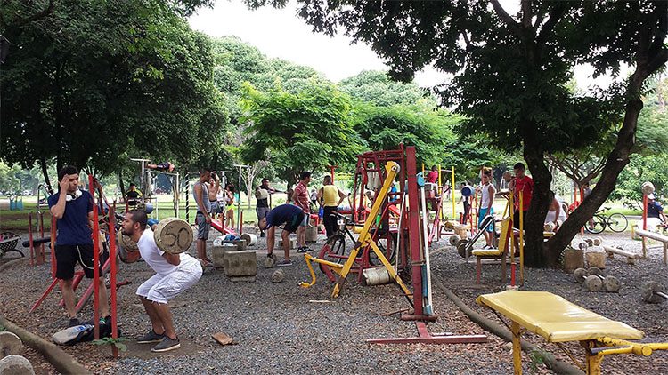 Poeple working out outdoors using the machines shaded by trees at a park