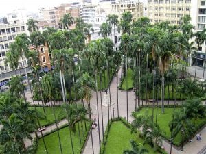 A Plaza in Cali with tall palm trees and grass patches