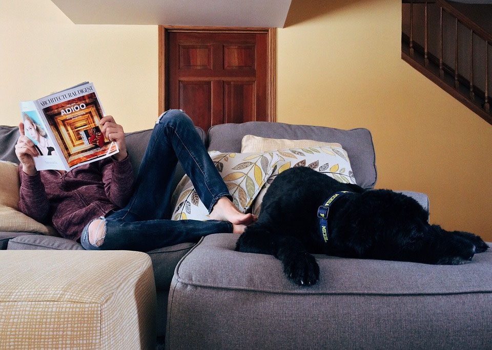 woman and dog sitting on a couch