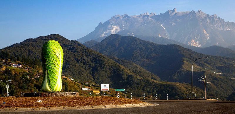 Tall cabbage statue in Kundasang