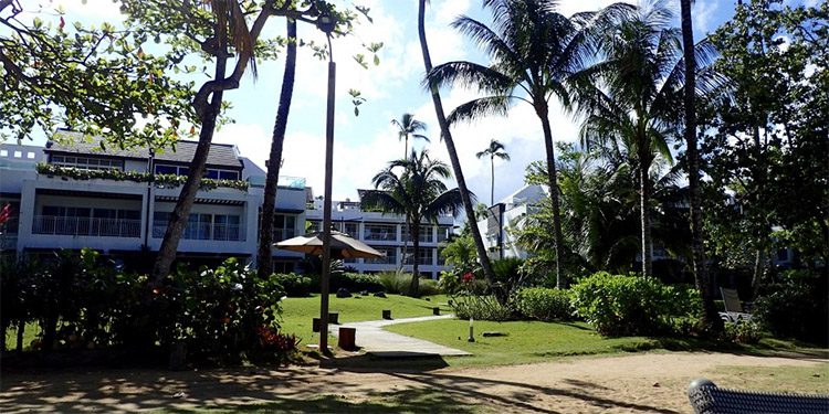 condos with palm trees and landscaped lawns near Playa Bonita