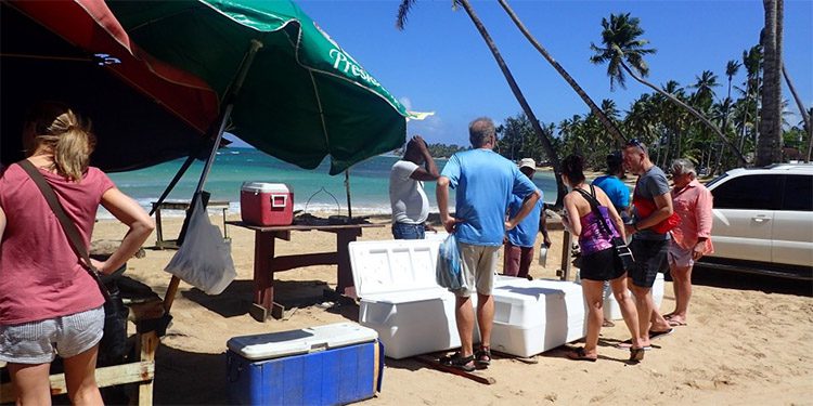 people buying fresh fish being sodl out of coolers on the beach in las terrenas