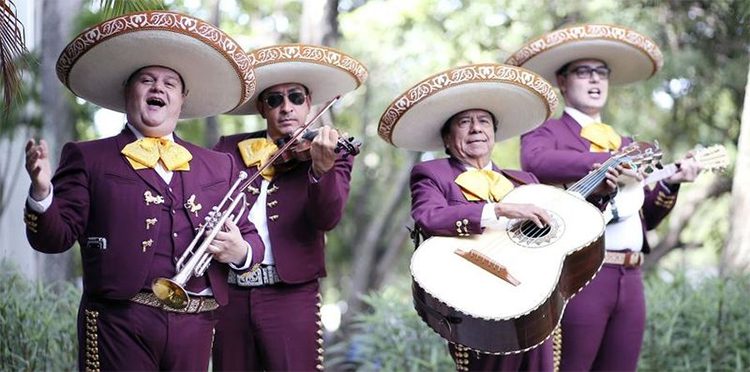 Mariachi musicians dressed in purple charro outfits and performing