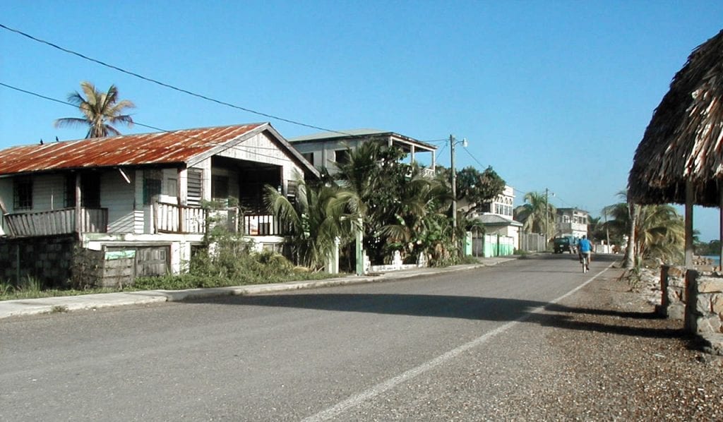 a man rides a bicycle down a quiet street lined with houses
