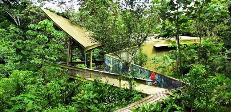 panama rainforest discovery center yellow building hidden between the green folliage