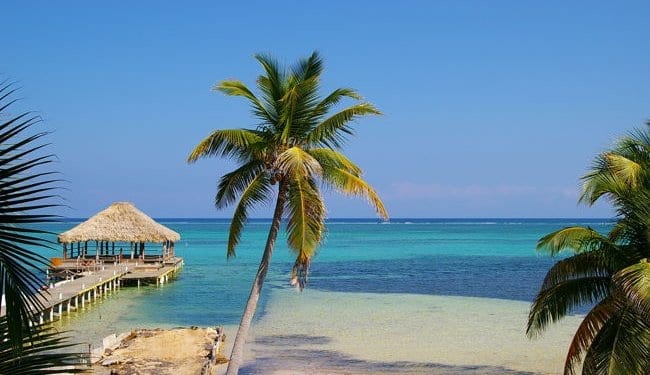 A tropical beach with palm tree, pontoon and blue seas in Belize