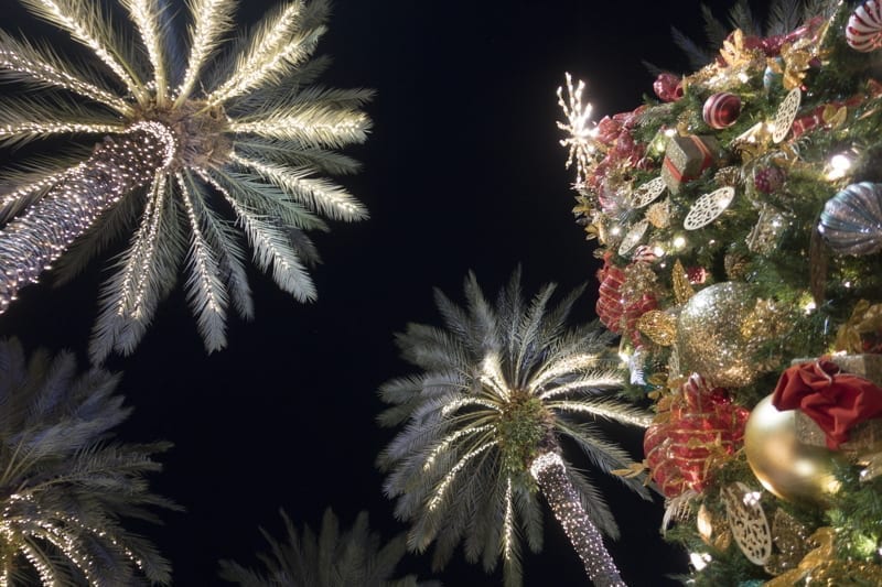 What You Need To Know About Christmas In Panama