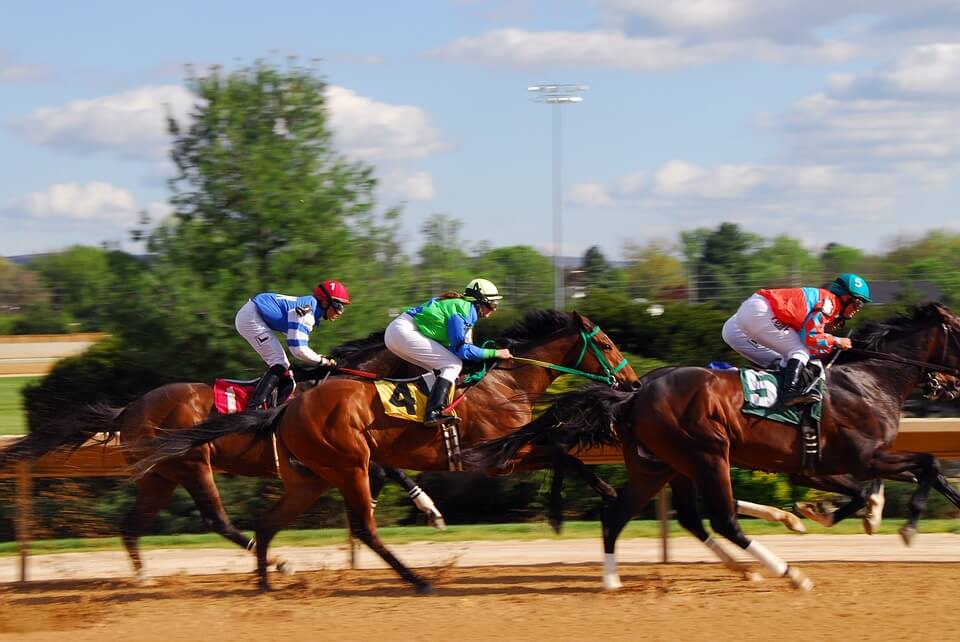 Best legal horse betting sites and apps for 2018