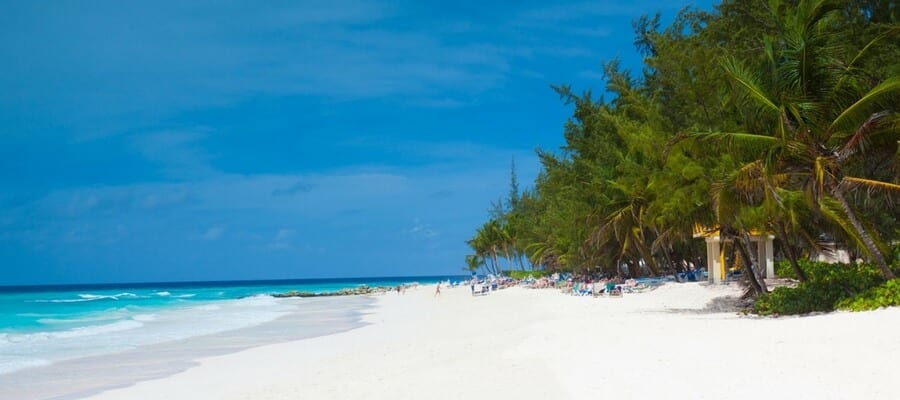 A white-sand beach on the shores of Barbados.