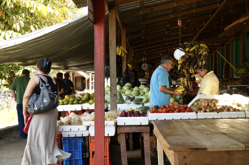 farmers market in belize