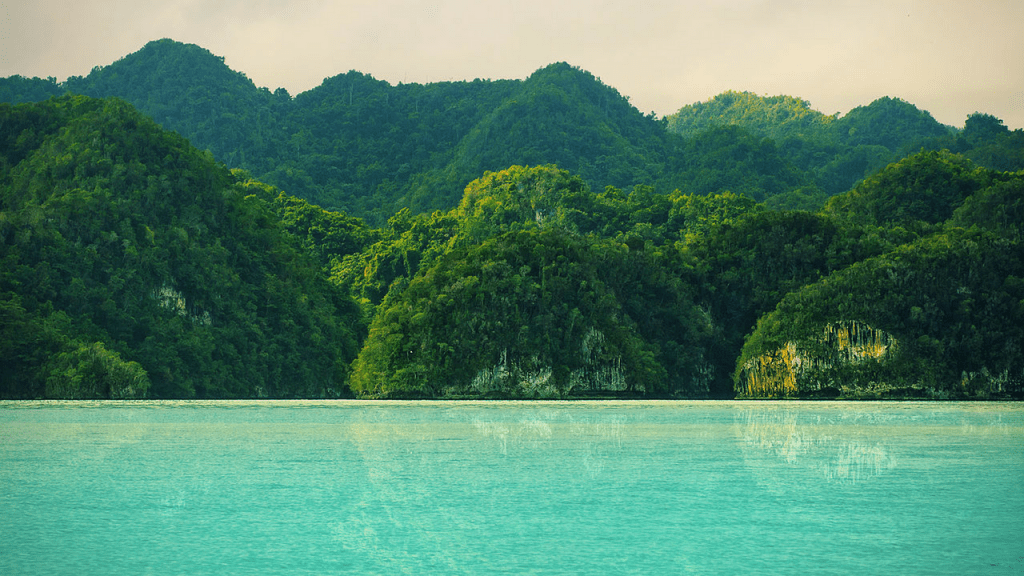 Playa Rronton in the dominican republic. Green waters with tree lined cliffs in the distance