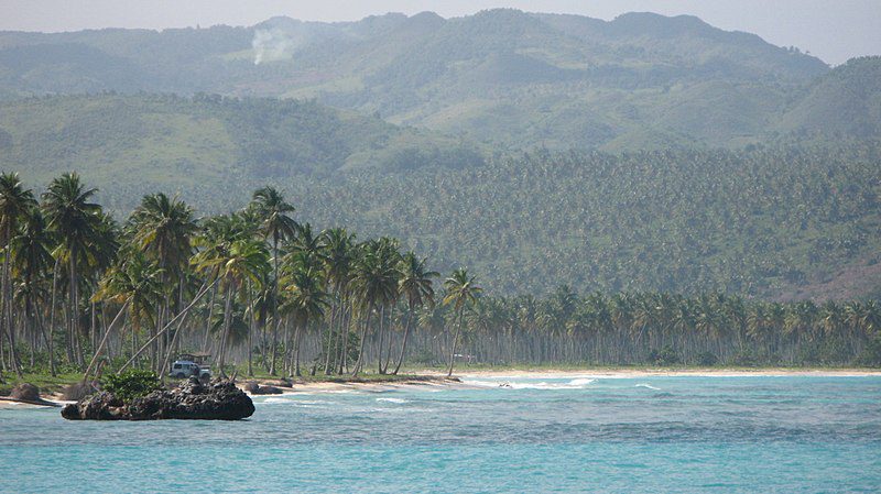 Playa de Rincón with many palm trees in the Dominican Republic