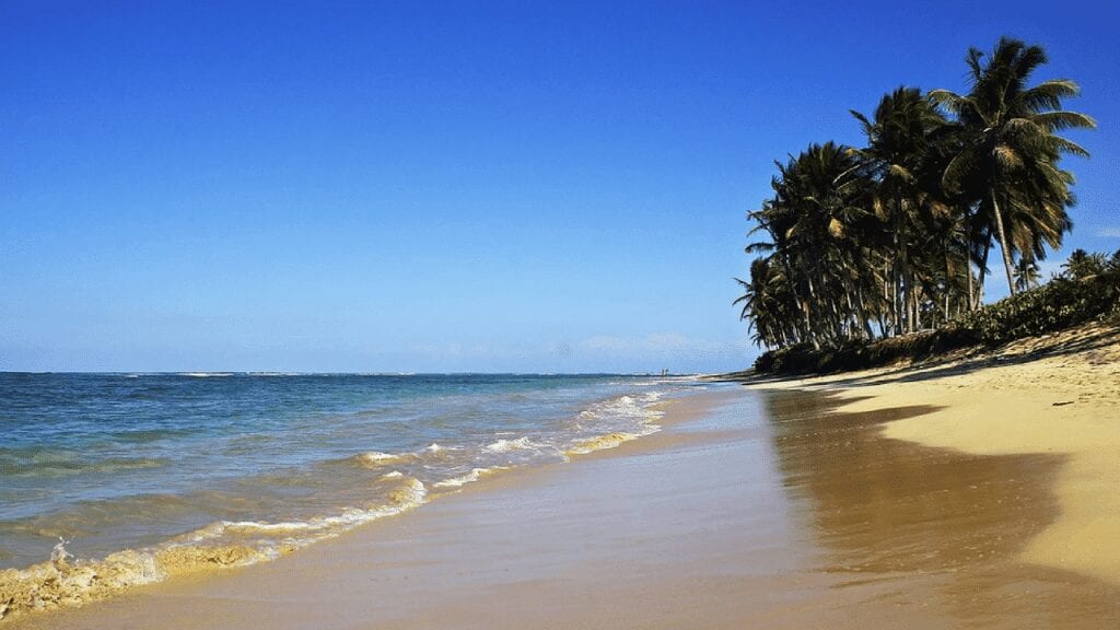 Bavaro Beach Dominican Republic