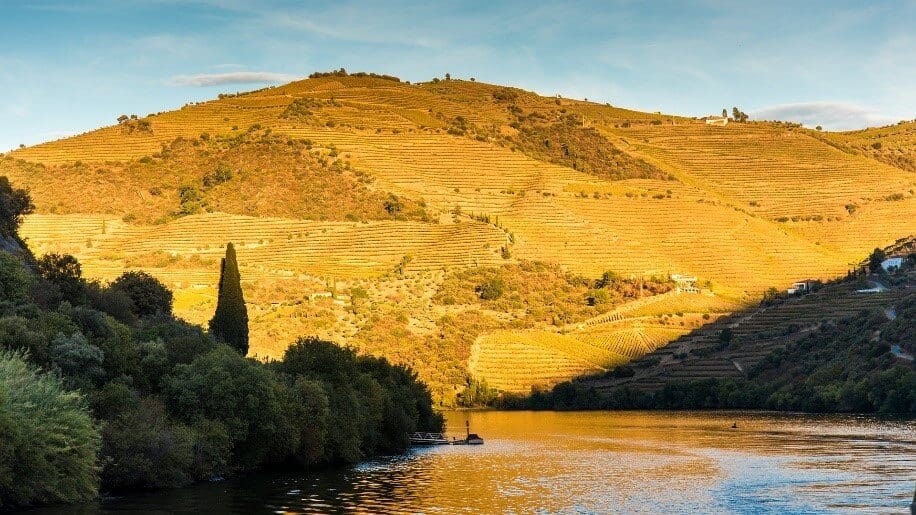 sunset by a river on the douro valley in portugal