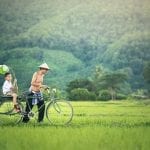 Laotian field and peopl