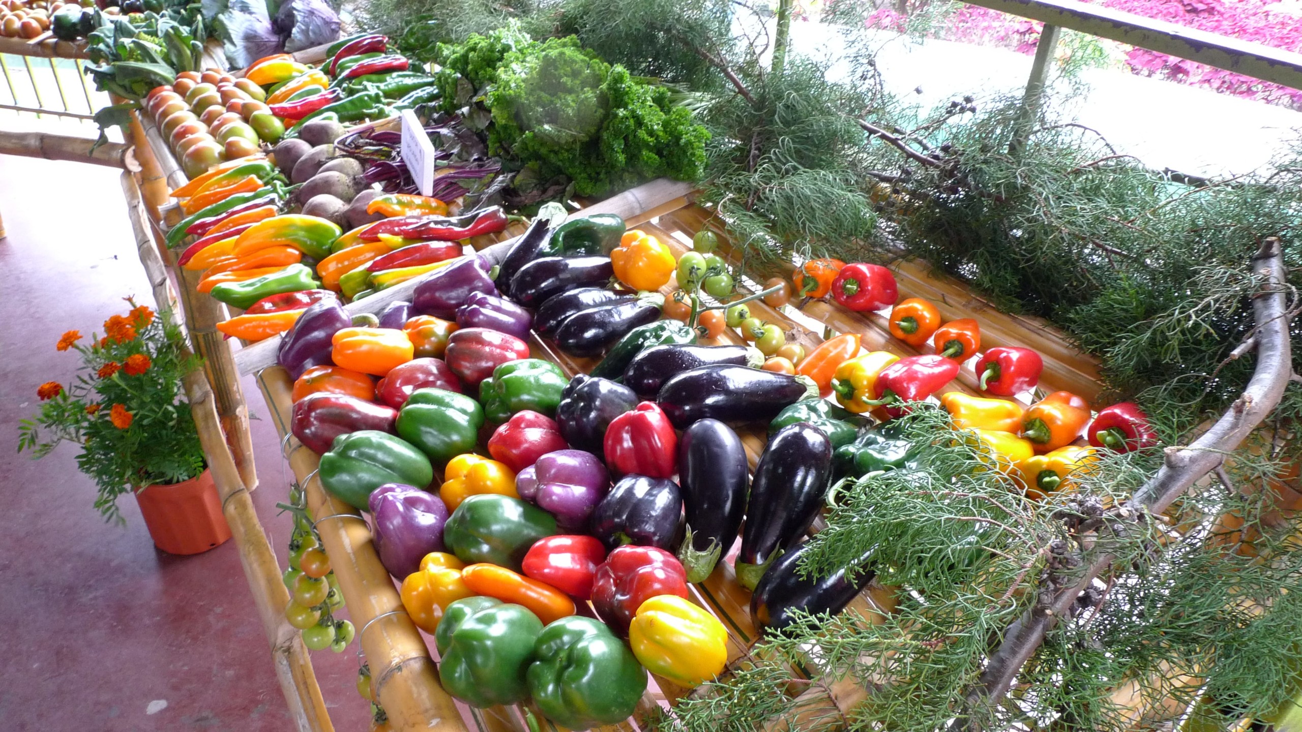 Fresh fruit and vegetables for sale in the market in Boquete, Panama