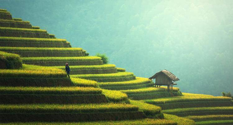 Best Places To Buy Real Estate Best Places To Buy Real Estate