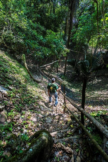 Worker at El Pilar in the jungle