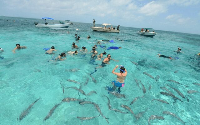 Swimmers surrounded by fish in Belize