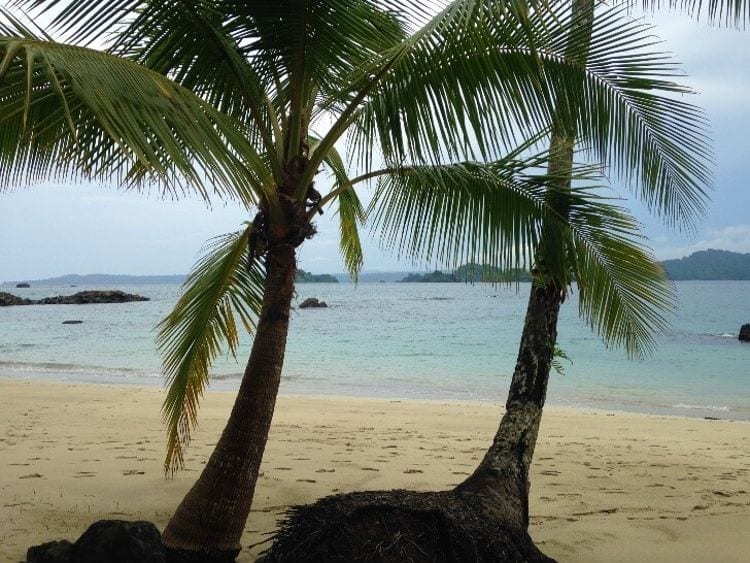 santa catalina beach