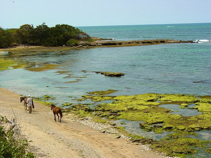 Shore Puerto Plata Dominican Republic